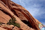 Longbow arch